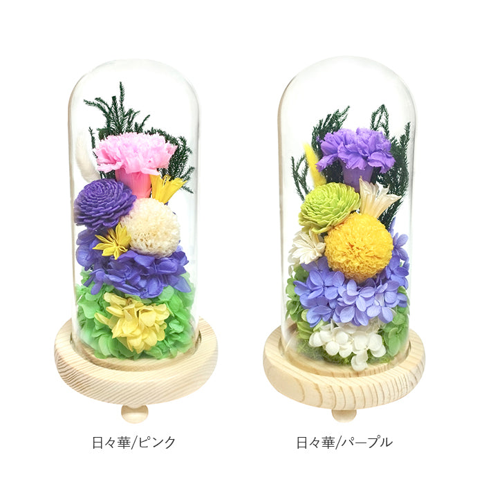 バックヤードファミリー BACKYARD FAMILY お供えガラスドーム (日菜乃/グリーン) 日菜乃/グリーン