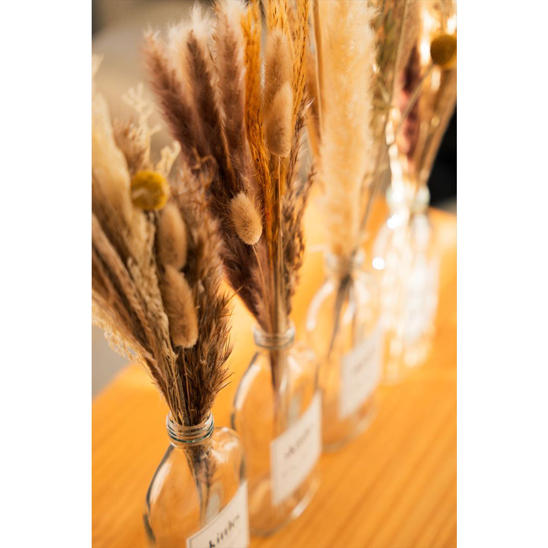 バックヤードファミリー BACKYARD FAMILY ベース付ドライフラワー skittles (Dタイプ) Dタイプ