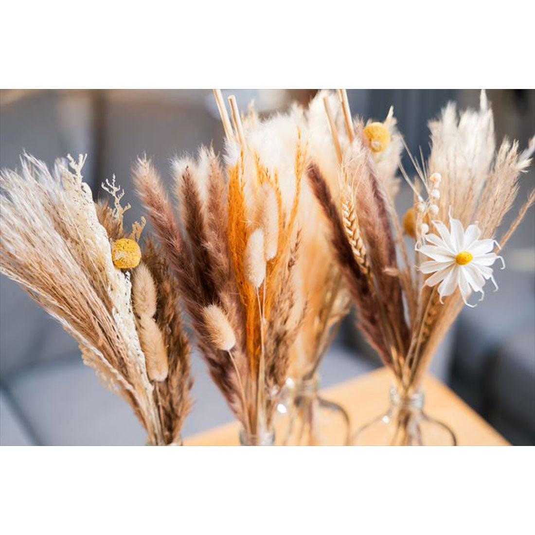 バックヤードファミリー BACKYARD FAMILY ベース付ドライフラワー skittles (Dタイプ) Dタイプ