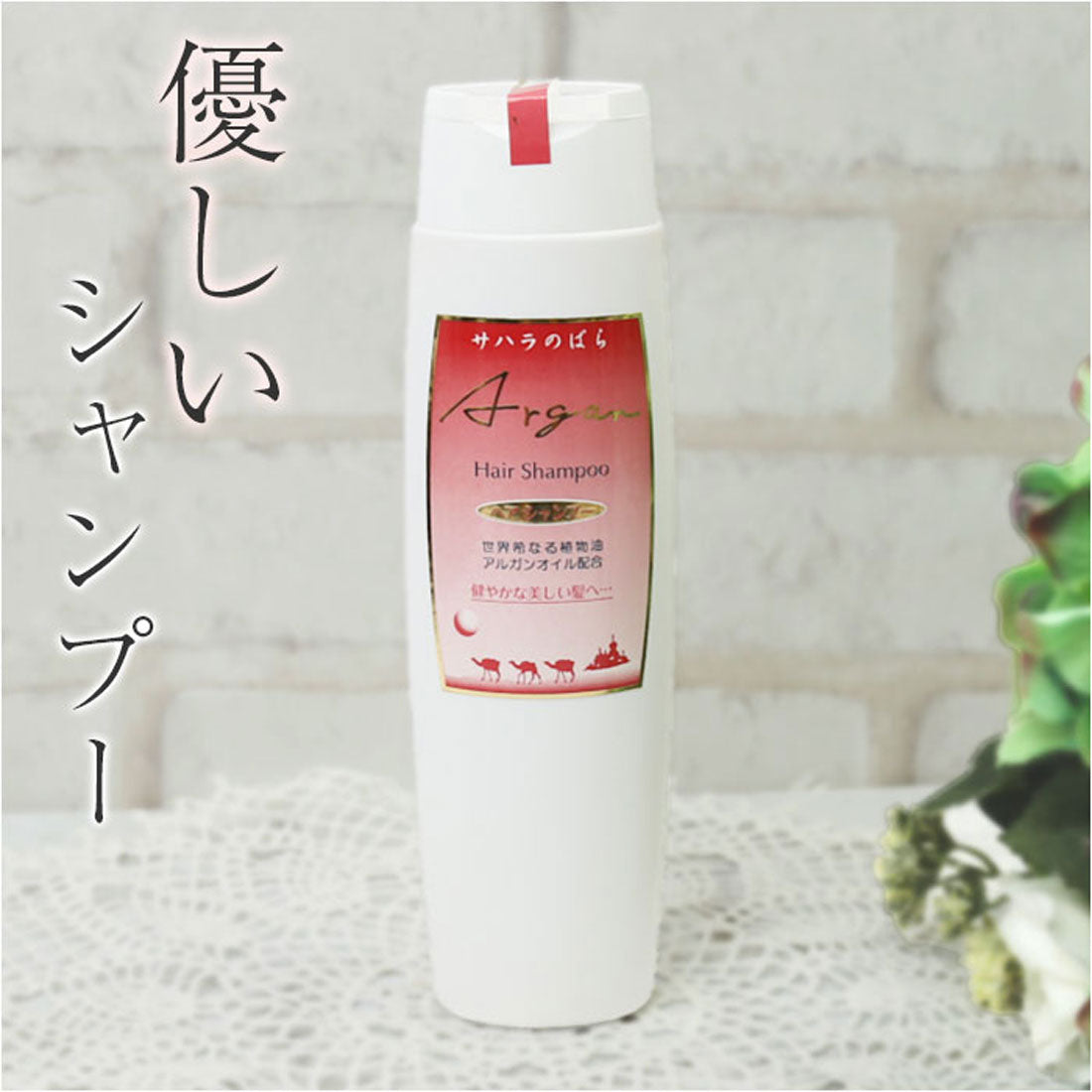 バックヤードファミリー BACKYARD FAMILY Saharaの薔薇 ヘアシャンプー 220ml 【返品不可商品】 (ホワイト) ホワイト