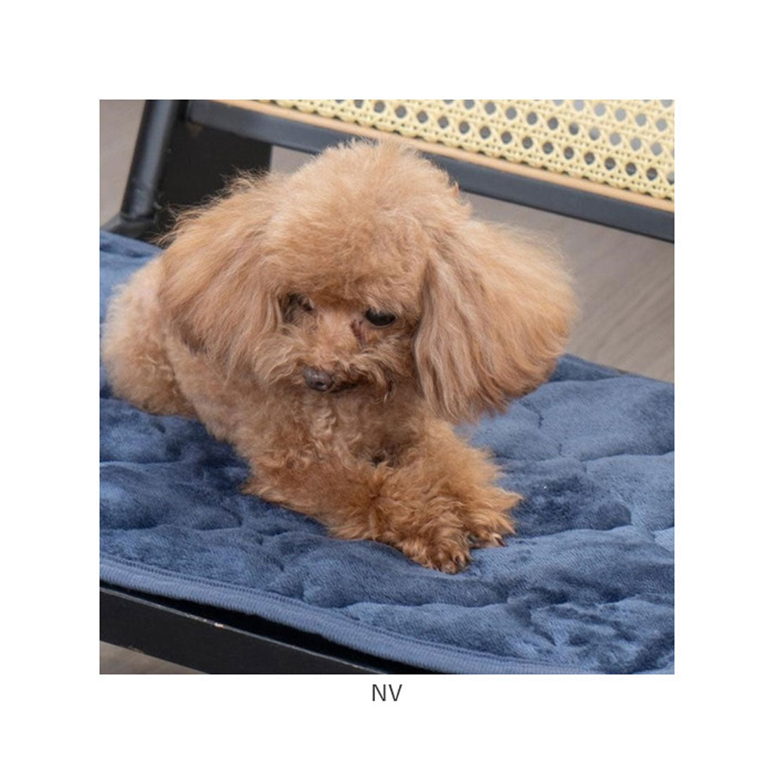 バックヤードファミリー BACKYARD FAMILY フランネルペットパッド LL 【返品不可商品】 (NV) NV