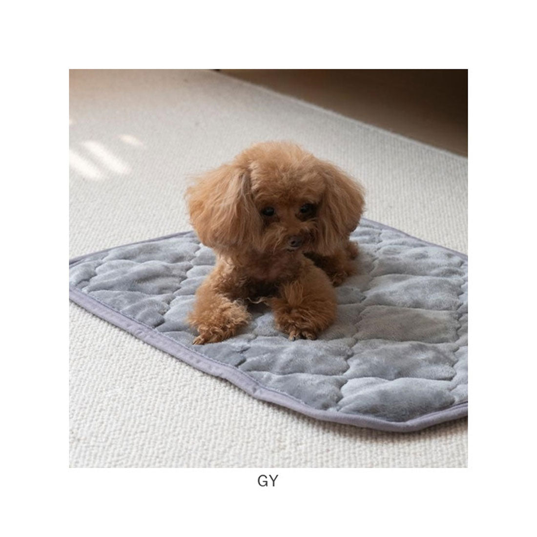 バックヤードファミリー BACKYARD FAMILY フランネルペットパッド LL 【返品不可商品】 (NV) NV