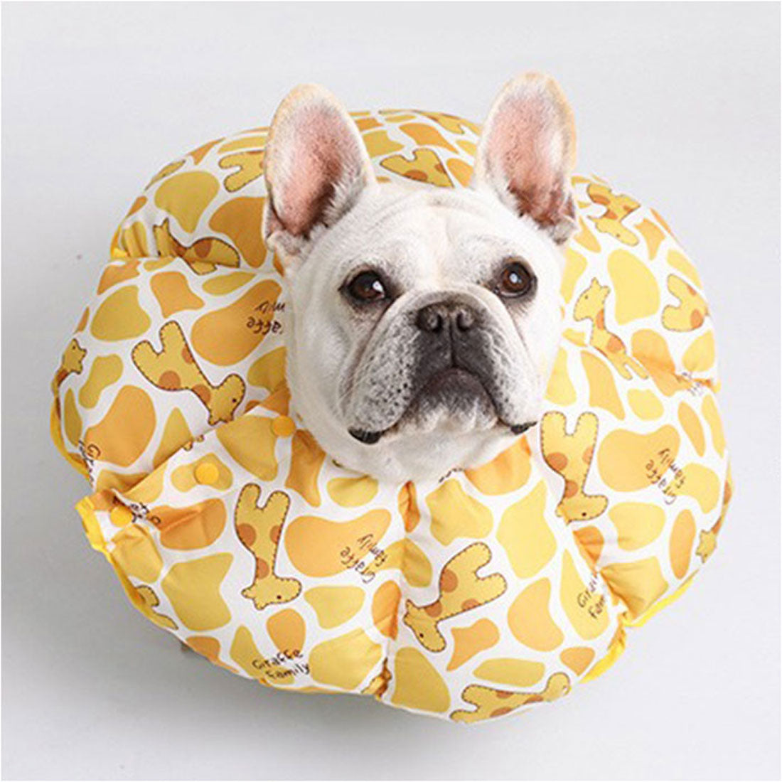 バックヤードファミリー BACKYARD FAMILY ペット用 ソフトエリザベスカラー 【返品不可商品】 (Cタイプ) Cタイプ