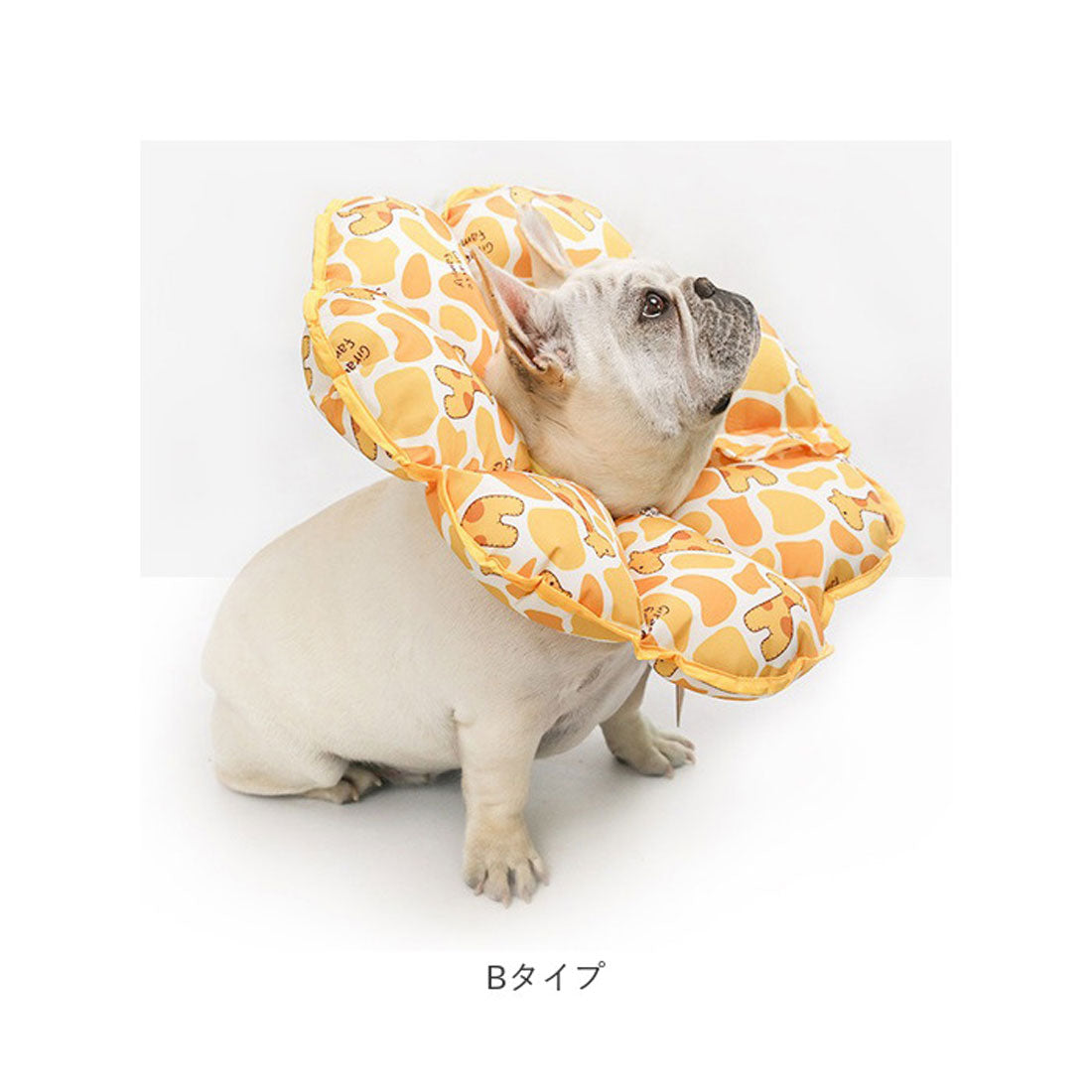 バックヤードファミリー BACKYARD FAMILY ペット用 ソフトエリザベスカラー 【返品不可商品】 (Cタイプ) Cタイプ