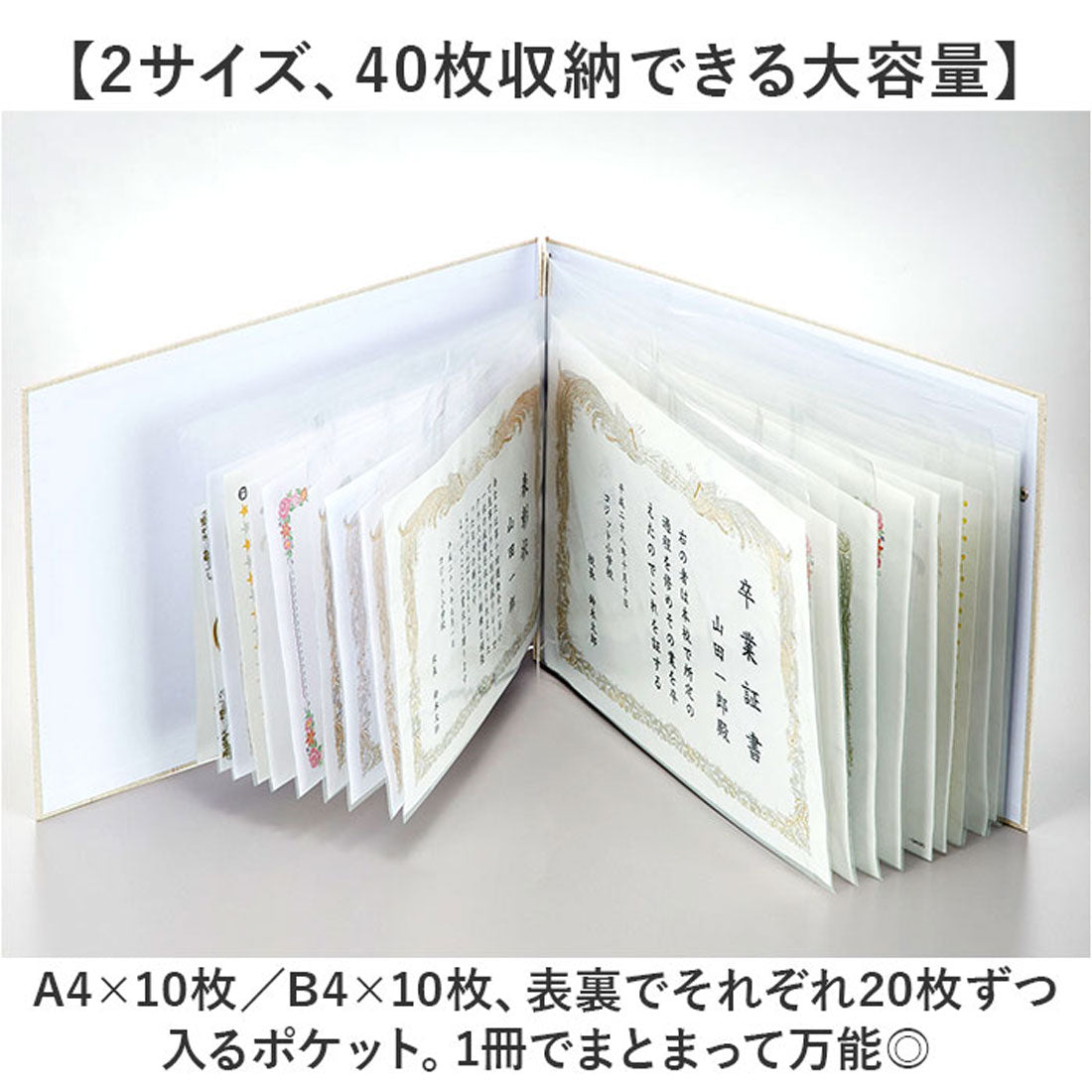 バックヤードファミリー BACKYARD FAMILY 賞状・通知簿ファイル A4・B4タイプ (ナチュラル) ナチュラル