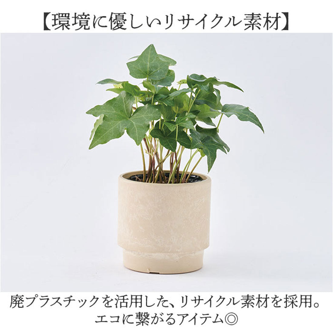 バックヤードファミリー BACKYARD FAMILY SK ステップ 15.5xH15 (アッシュグレイ) アッシュグレイ