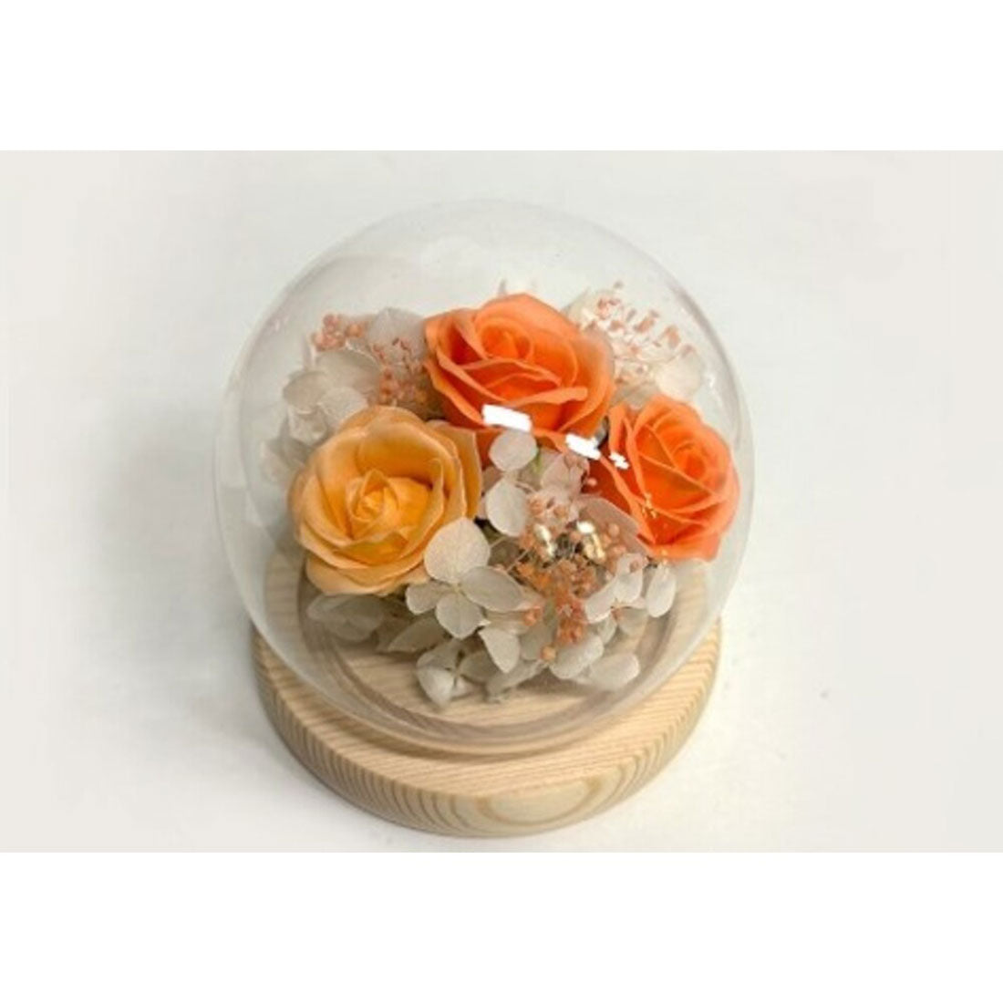 バックヤードファミリー BACKYARD FAMILY グラス・ド・スフェール (オレンジ) オレンジ