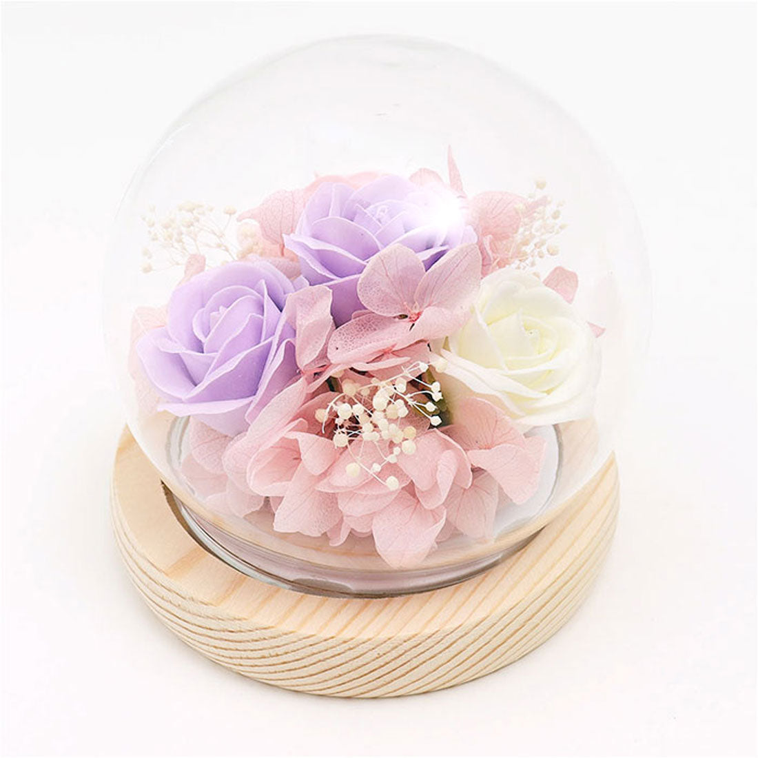 バックヤードファミリー BACKYARD FAMILY グラス・ド・スフェール (オレンジ) オレンジ