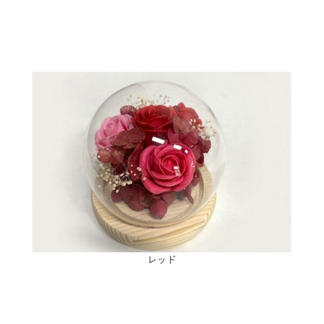 バックヤードファミリー BACKYARD FAMILY グラス・ド・スフェール (オレンジ) オレンジ