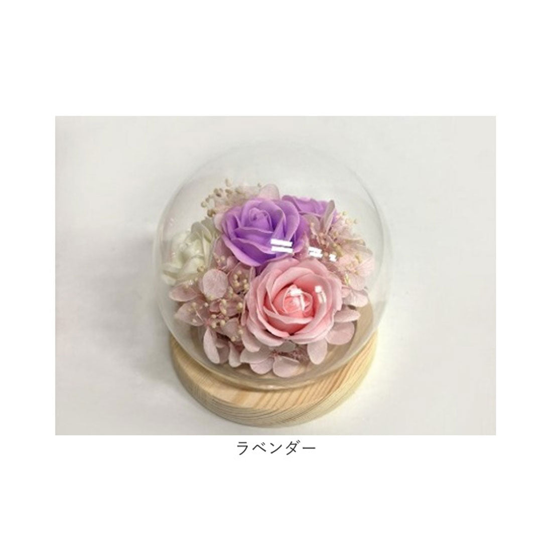 バックヤードファミリー BACKYARD FAMILY グラス・ド・スフェール (オレンジ) オレンジ