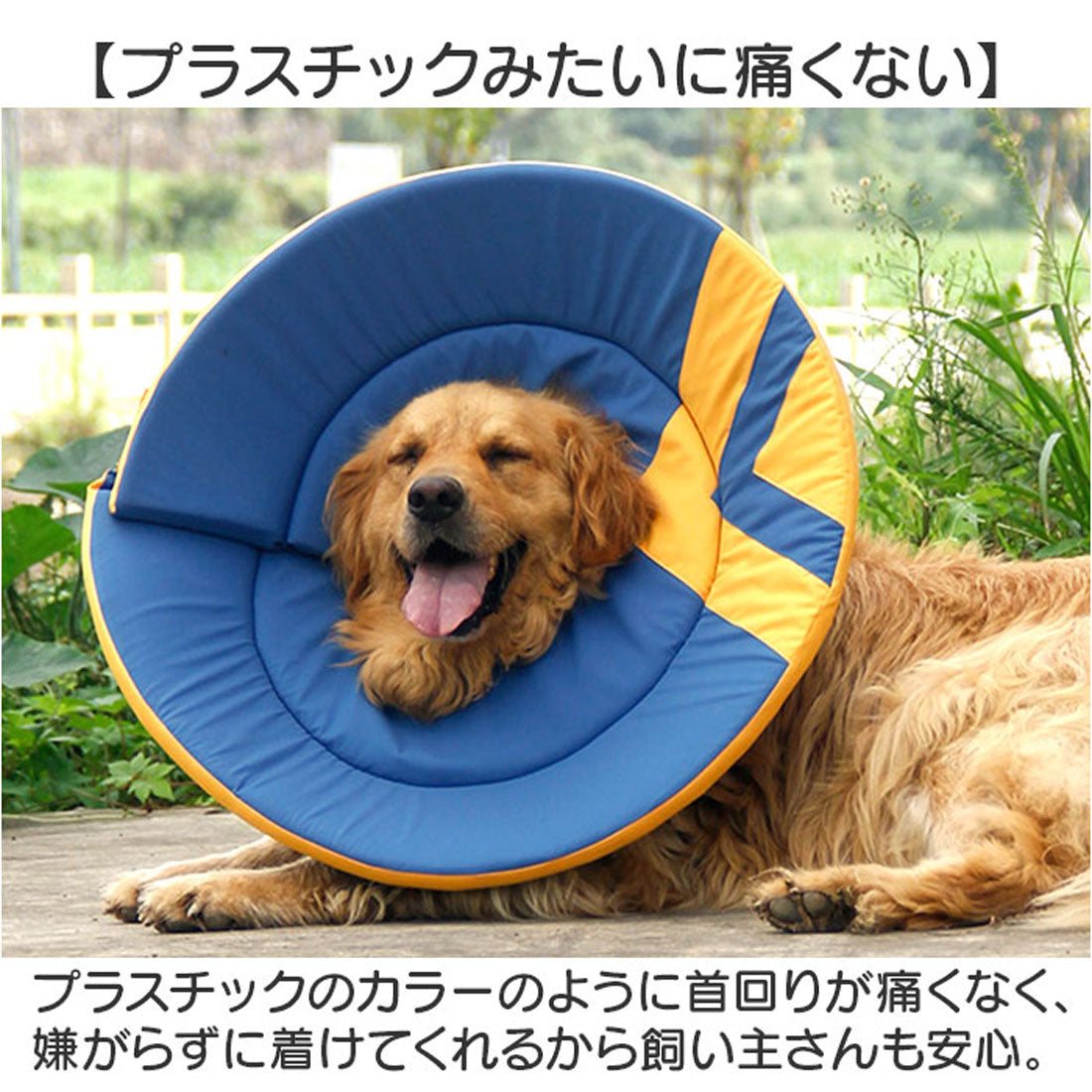 バックヤードファミリー BACKYARD FAMILY エリザベスカラー 大型犬 中型犬 【返品不可商品】 (ブルー) ブルー