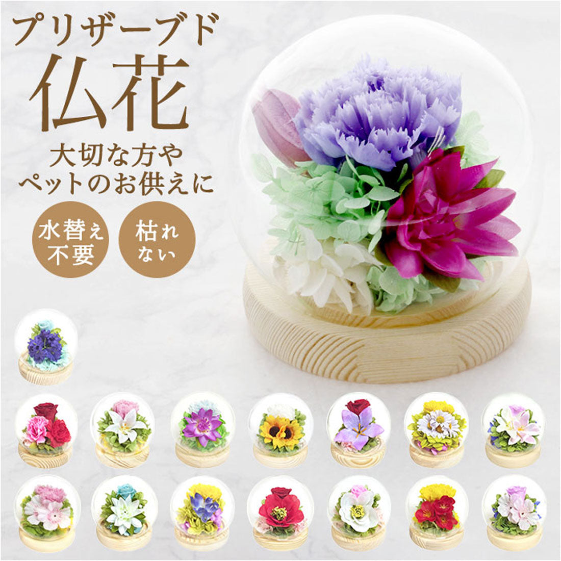 バックヤードファミリー BACKYARD FAMILY お供え ガラスドーム 四季と暦 (文月) 文月