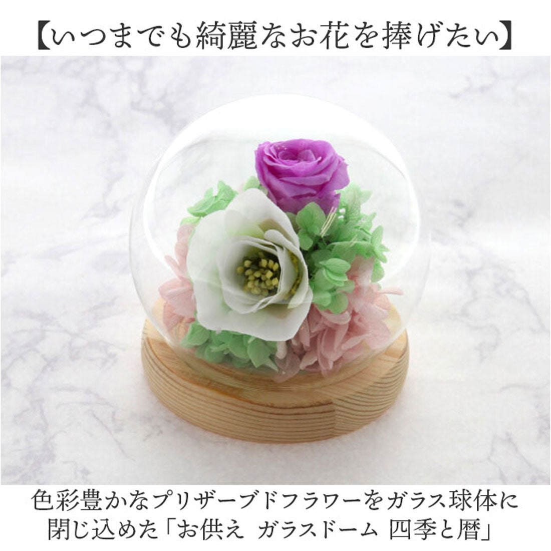 バックヤードファミリー BACKYARD FAMILY お供え ガラスドーム 四季と暦 (文月) 文月