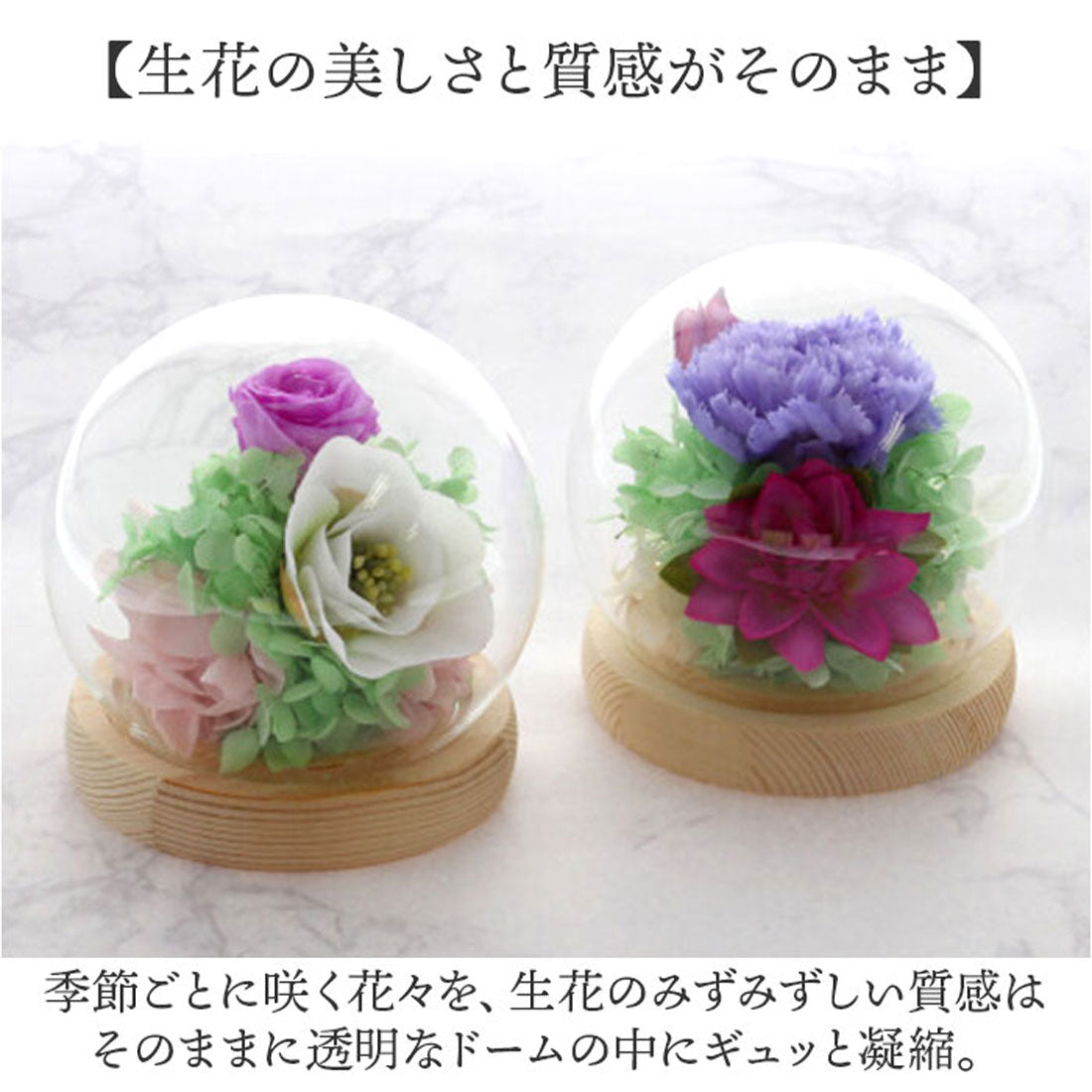 バックヤードファミリー BACKYARD FAMILY お供え ガラスドーム 四季と暦 (文月) 文月