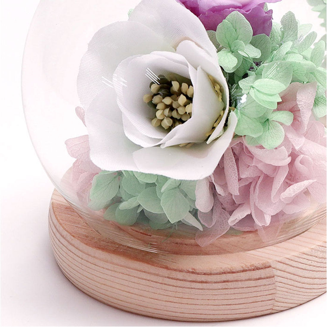 バックヤードファミリー BACKYARD FAMILY お供え ガラスドーム 四季と暦 (文月) 文月