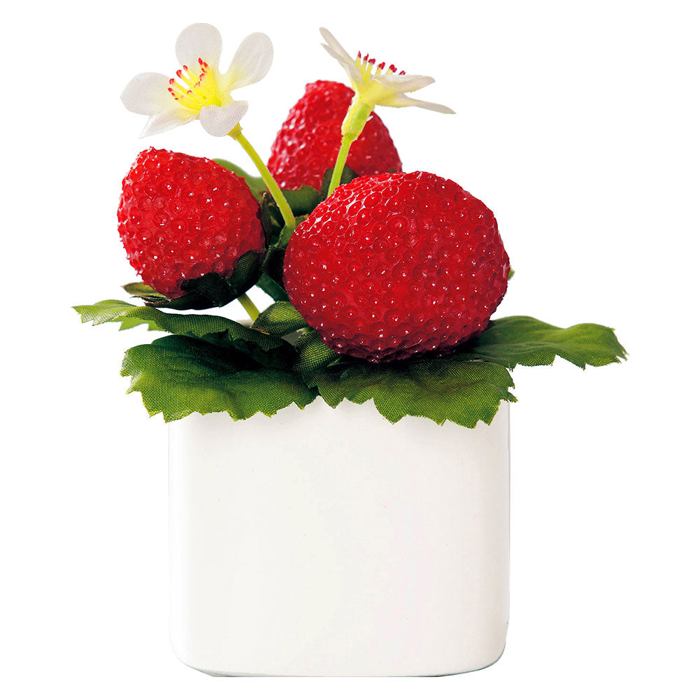 ノーブランド No Brand 光触媒 インテリアグリーン ラウンドポット キューブポット (キューブ.ストロベリー) キューブ.ストロベリー