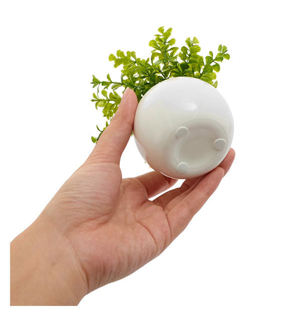 ノーブランド No Brand 光触媒 インテリアグリーン ラウンドポット キューブポット (キューブ.ストロベリー) キューブ.ストロベリー