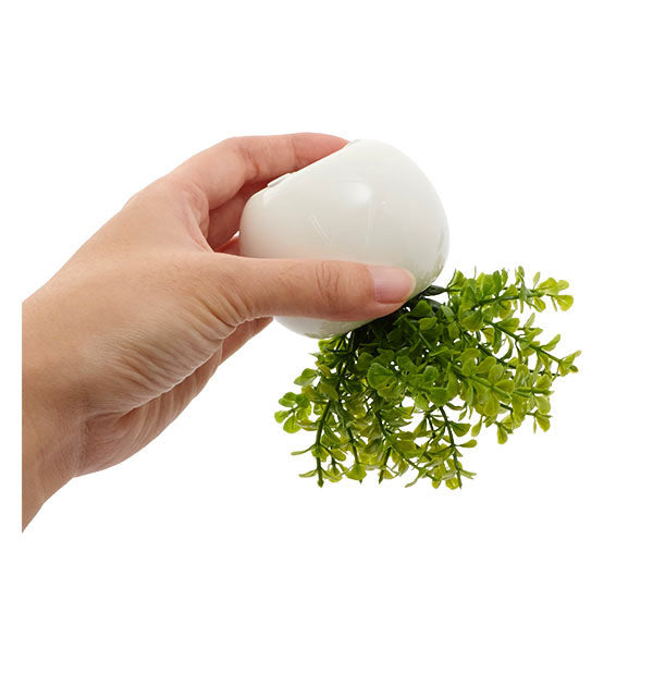 ノーブランド No Brand 光触媒 インテリアグリーン ラウンドポット キューブポット (キューブ.ストロベリー) キューブ.ストロベリー