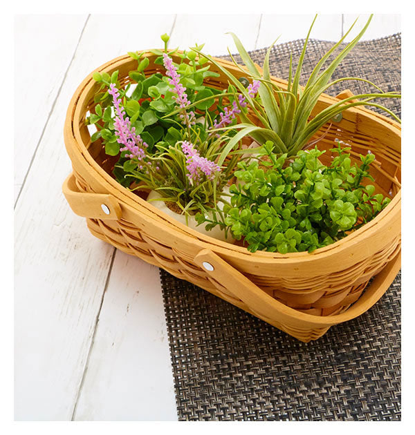 ノーブランド No Brand 光触媒 インテリアグリーン ラウンドポット キューブポット (キューブ.ストロベリー) キューブ.ストロベリー