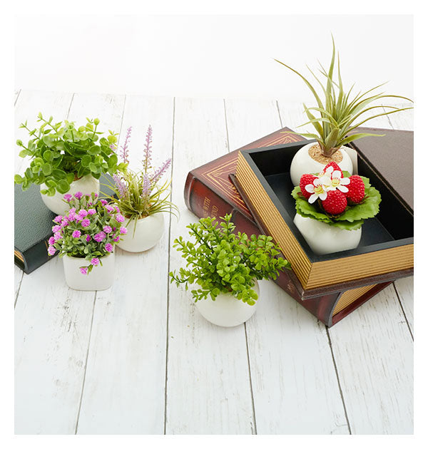 ノーブランド No Brand 光触媒 インテリアグリーン ラウンドポット キューブポット (キューブ.ストロベリー) キューブ.ストロベリー
