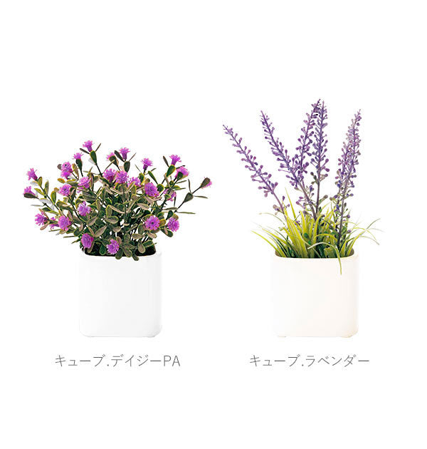 ノーブランド No Brand 光触媒 インテリアグリーン ラウンドポット キューブポット (キューブ.ストロベリー) キューブ.ストロベリー