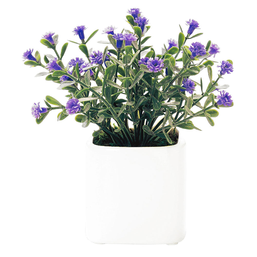 ノーブランド No Brand 光触媒 インテリアグリーン ラウンドポット キューブポット (キューブ.デイジーLA) キューブ.デイジーLA