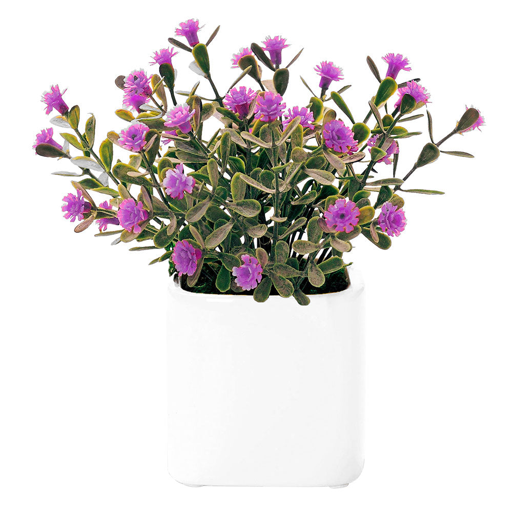 ノーブランド No Brand 光触媒 インテリアグリーン ラウンドポット キューブポット (キューブ.デイジーPA) キューブ.デイジーPA