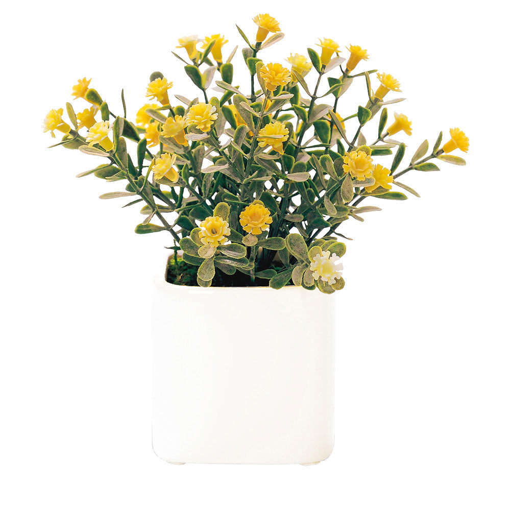 ノーブランド No Brand 光触媒 インテリアグリーン ラウンドポット キューブポット (キューブ.デイジーYE) キューブ.デイジーYE