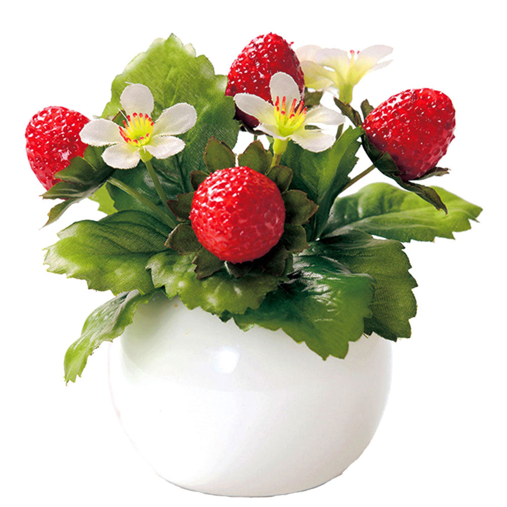 ノーブランド No Brand 光触媒 インテリアグリーン ラウンドポット キューブポット (ラウンド.ストロベリー) ラウンド.ストロベリー