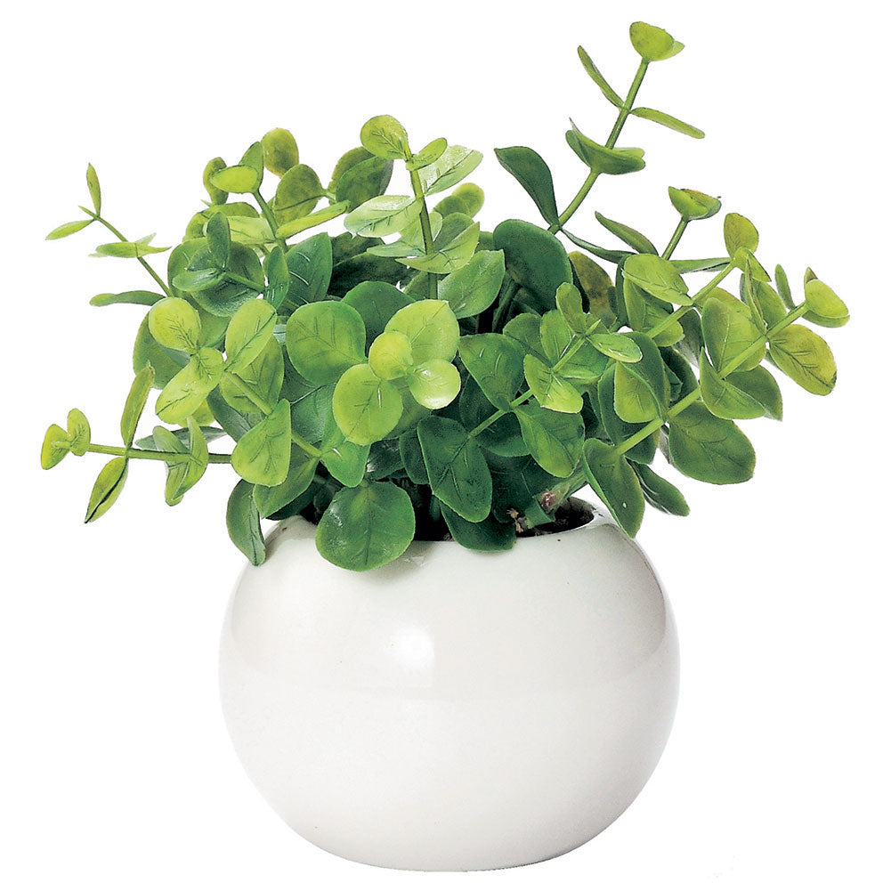 ノーブランド No Brand 光触媒 インテリアグリーン ラウンドポット キューブポット (ラウンド.ユーカリ) ラウンド.ユーカリ