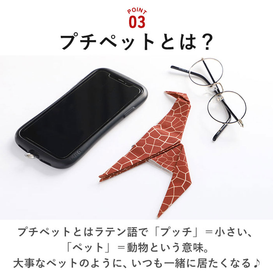 バックヤードファミリー BACKYARD FAMILY プッチペット peti peto レンズ拭き (シャチ) シャチ