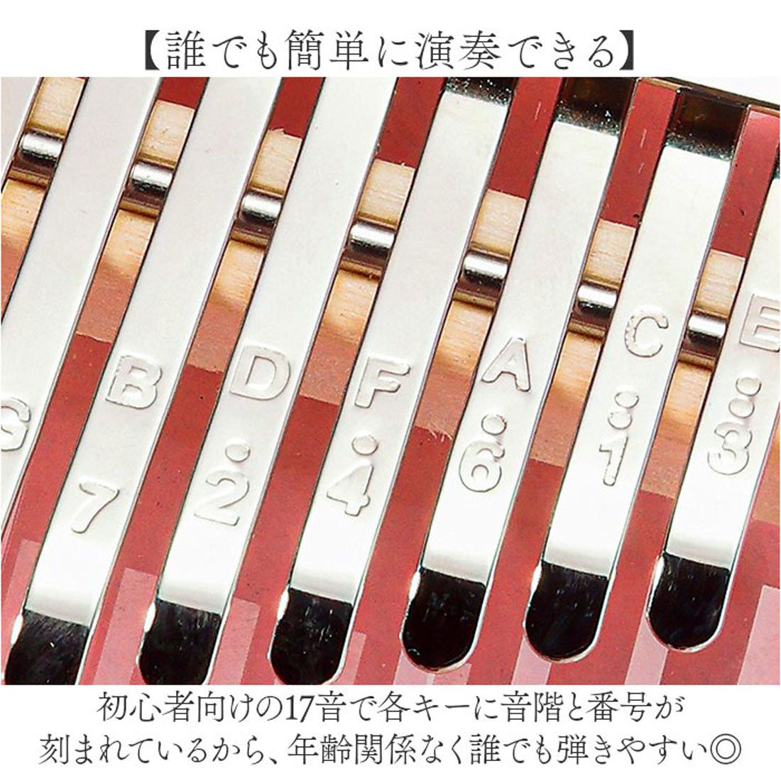バックヤードファミリー BACKYARD FAMILY カリンバ ゆびピアノかわいい (タイプ2) タイプ2