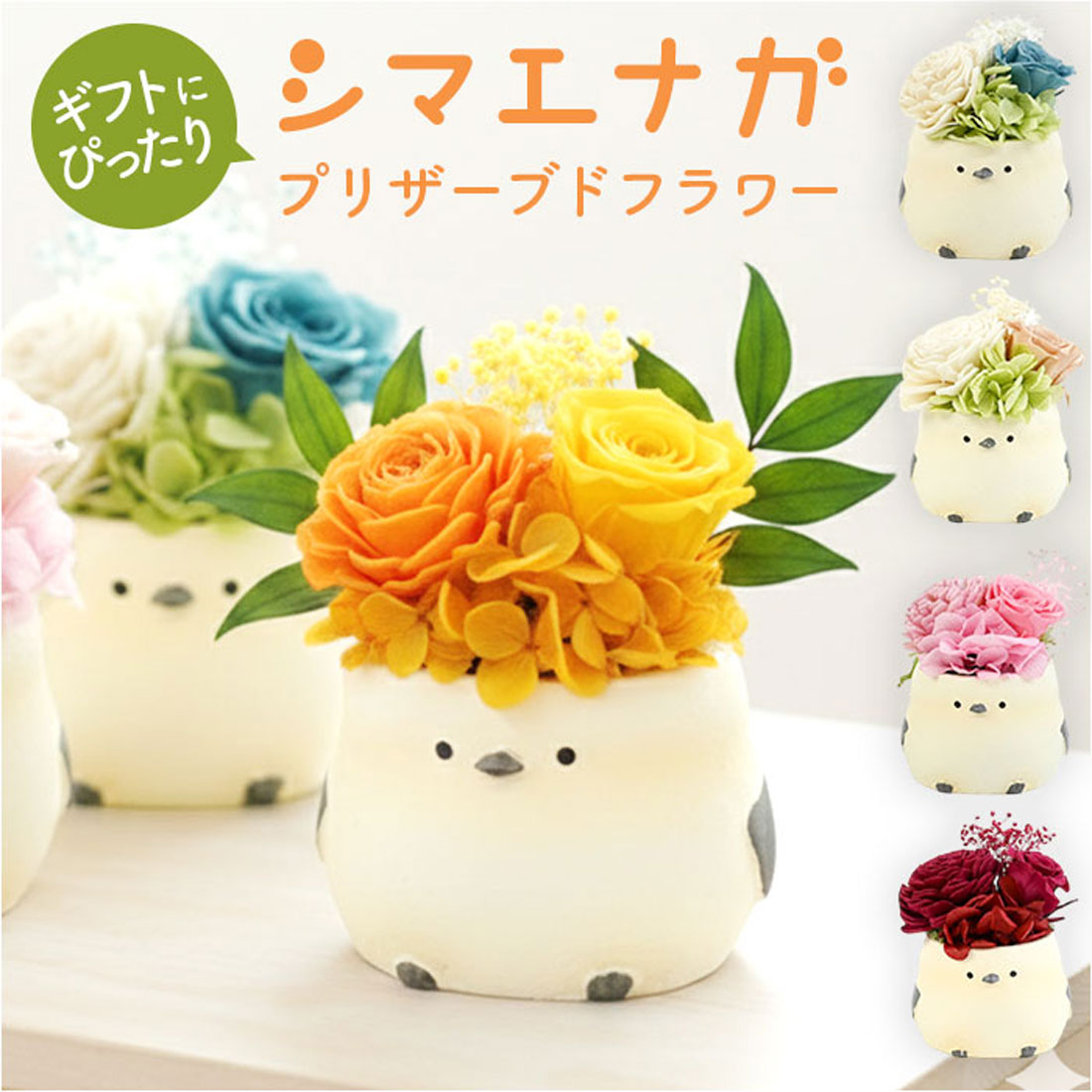 バックヤードファミリー BACKYARD FAMILY プリザーブドフラワー シマエナガ (ブルー) ブルー