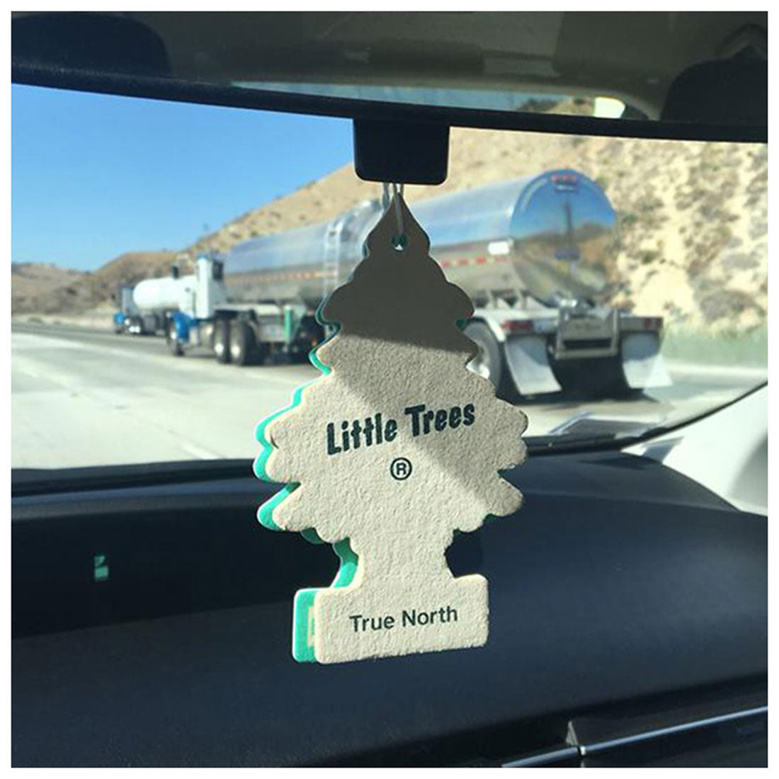 バックヤードファミリー BACKYARD FAMILY Littletree リトルツリー エアフレッシュナー【返品不可商品】