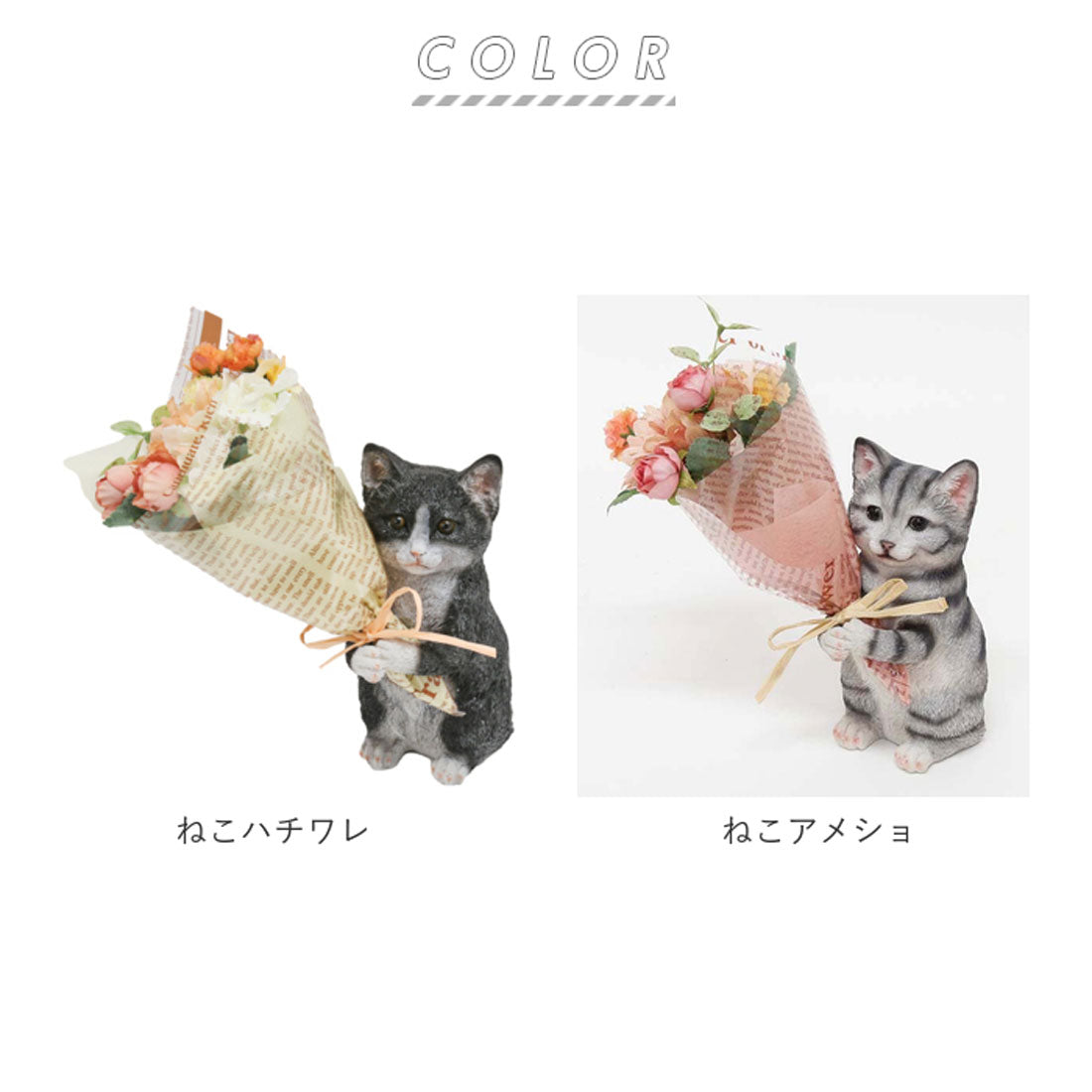 バックヤードファミリー BACKYARD FAMILY CT触媒 ミニョンブーケ