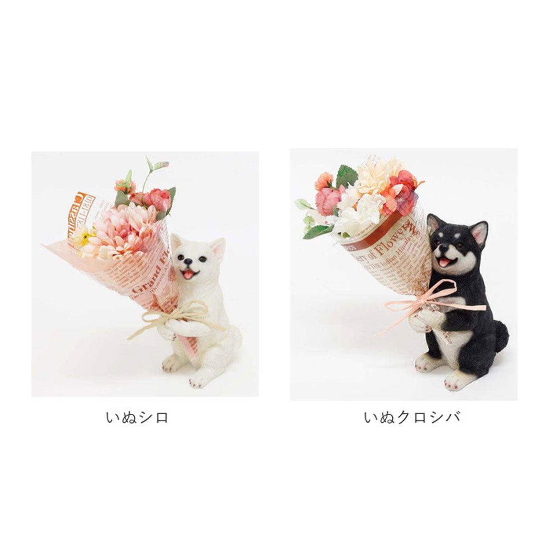 バックヤードファミリー BACKYARD FAMILY CT触媒 ミニョンブーケ