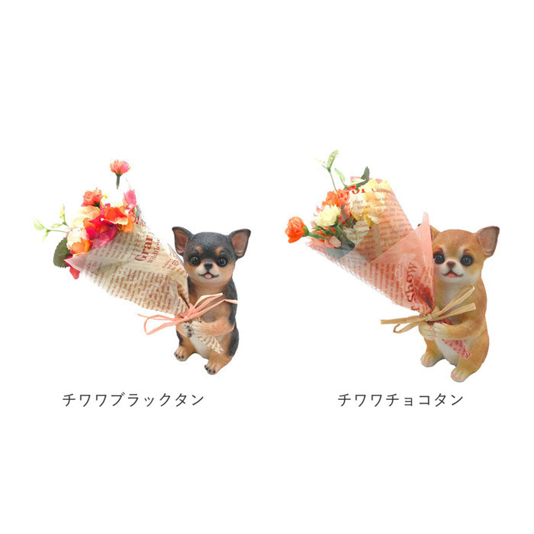 バックヤードファミリー BACKYARD FAMILY CT触媒 ミニョンブーケ