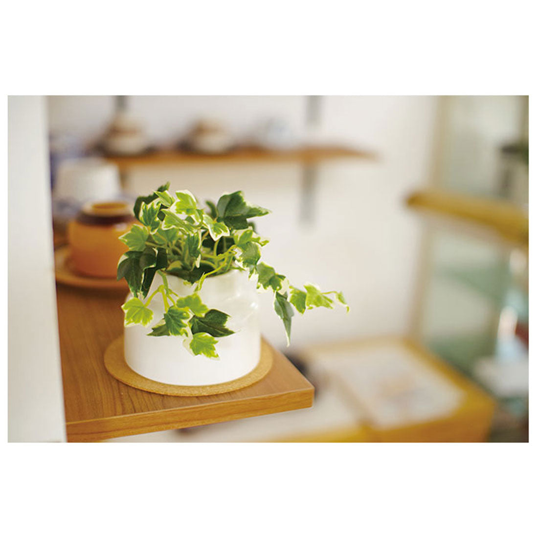 バックヤードファミリー BACKYARD FAMILY エクリア 消臭アーティフィシャルグリーン ポットSサイズ