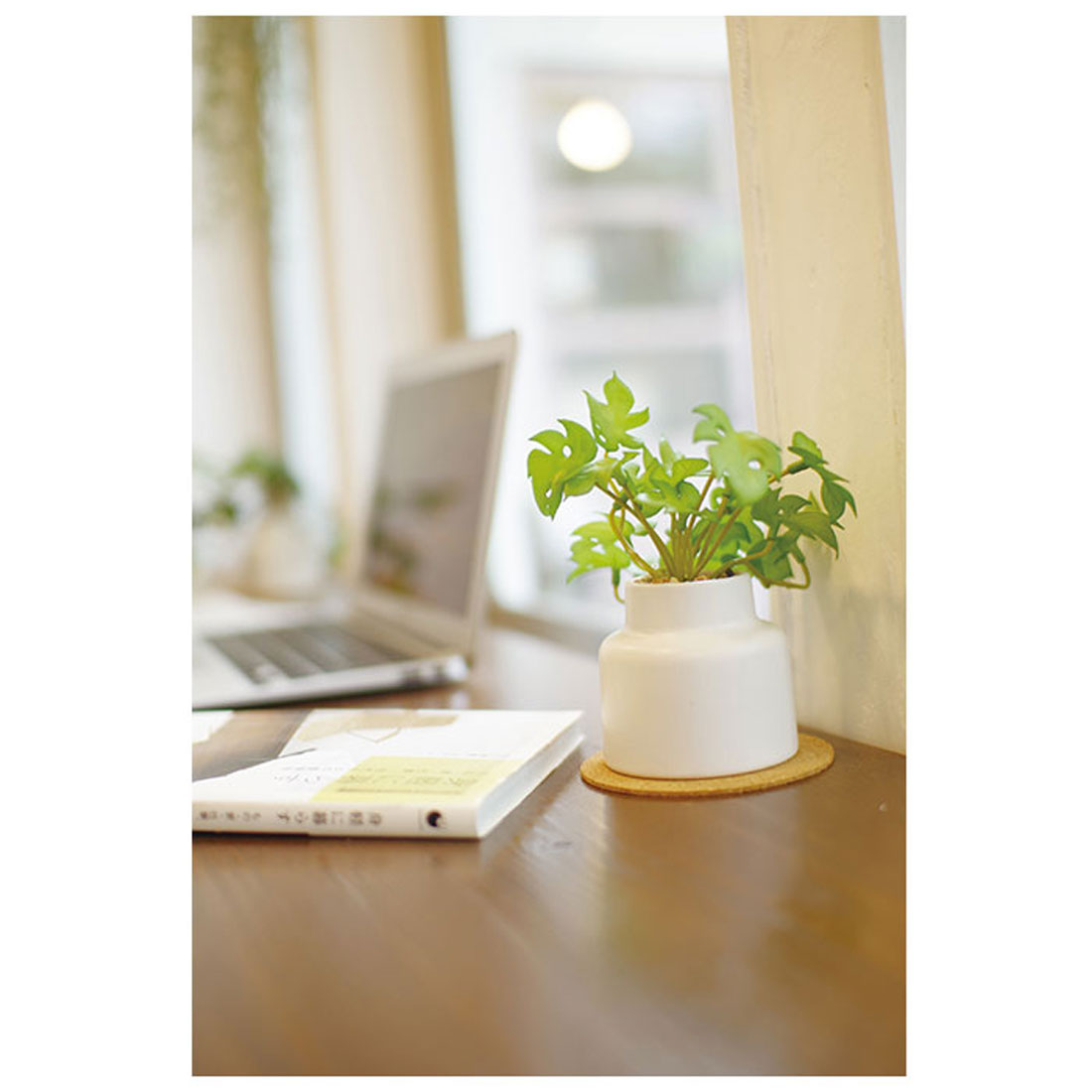 バックヤードファミリー BACKYARD FAMILY エクリア 消臭アーティフィシャルグリーン ポットSサイズ