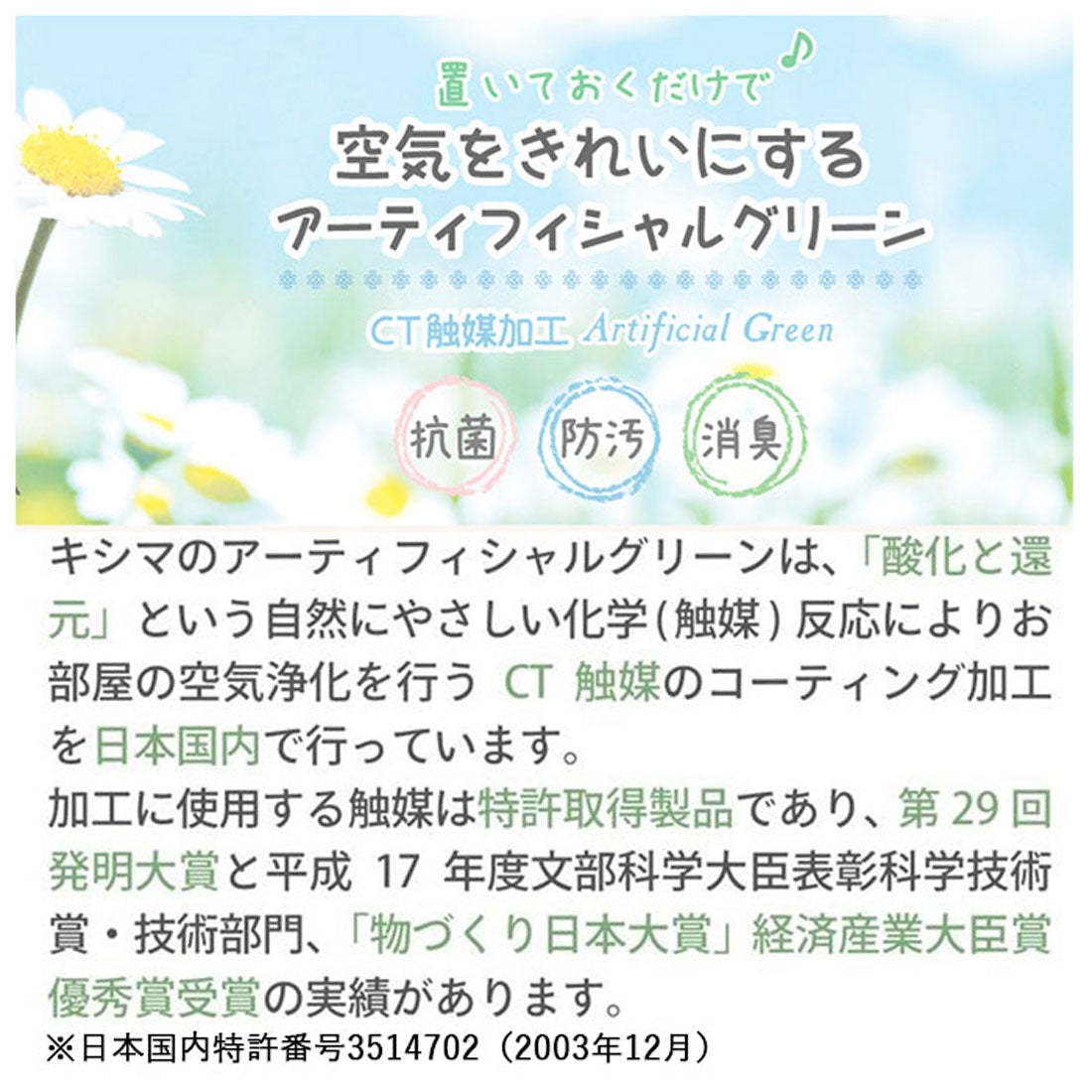 バックヤードファミリー BACKYARD FAMILY エクリア 消臭アーティフィシャルグリーン ポットSサイズ