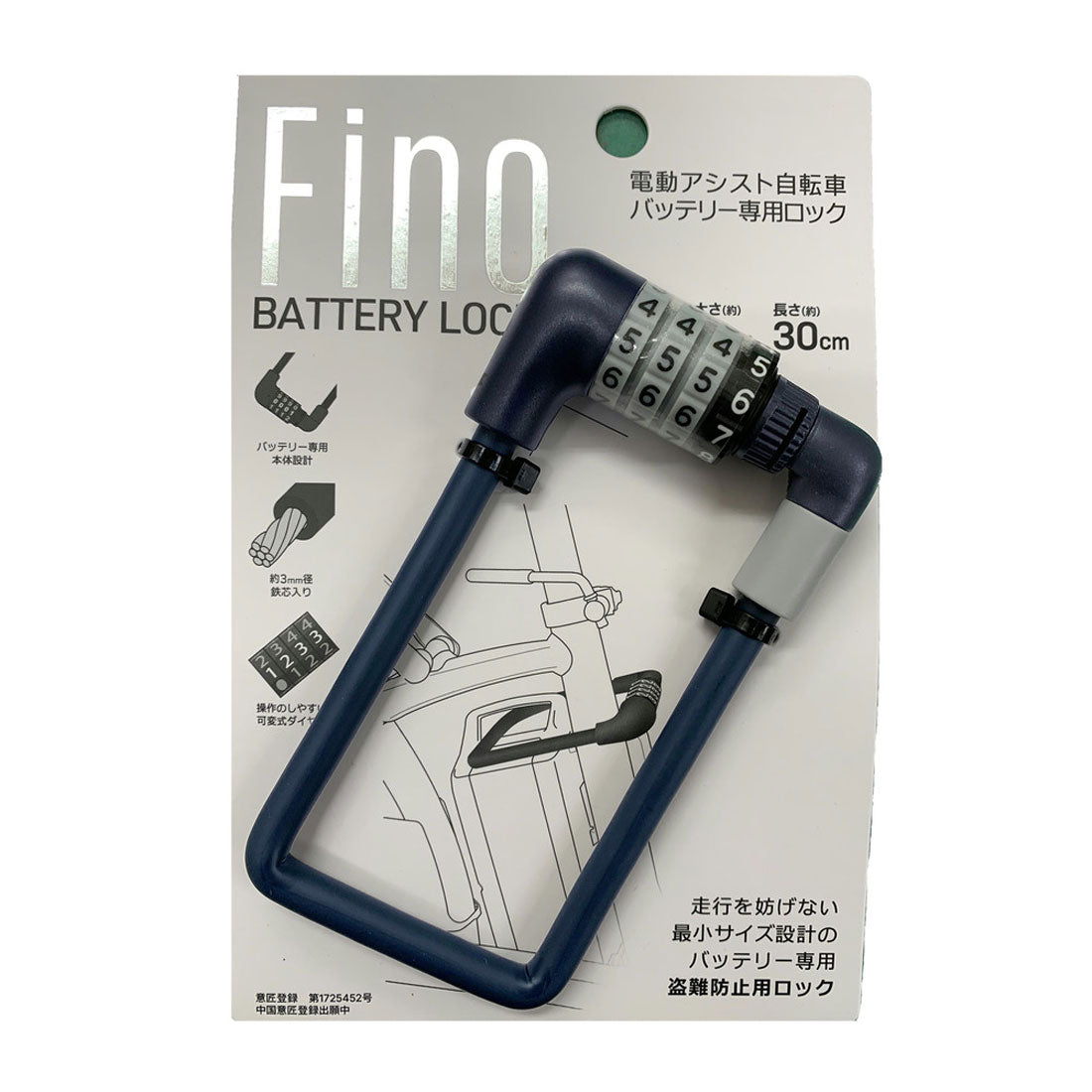 Backyard Family Electric Bicycle Battery Lock Theft Key