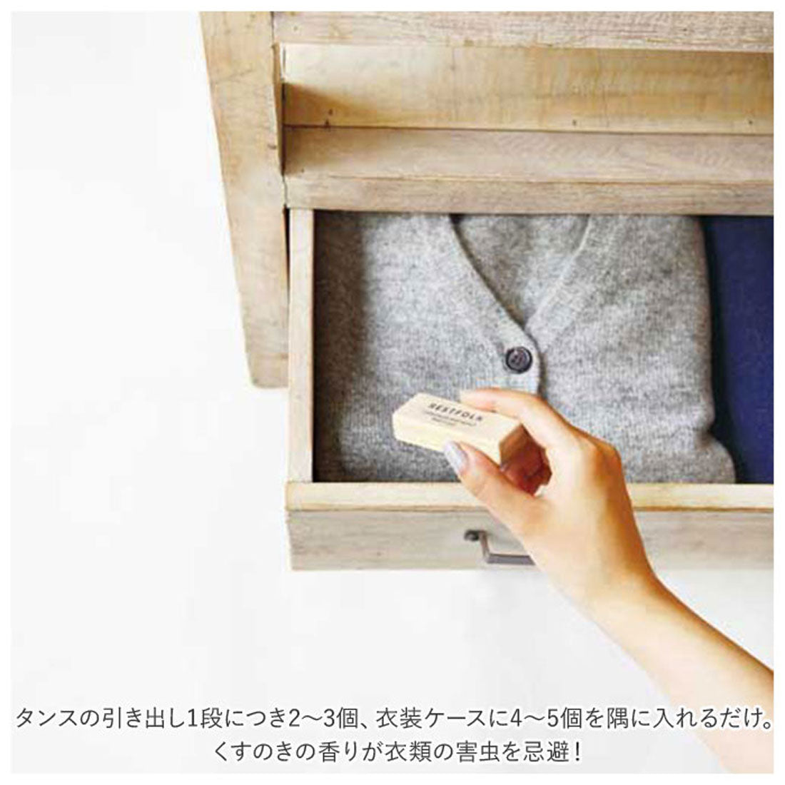 バックヤードファミリー BACKYARD FAMILY 防虫剤 楠 カンフル ブロック 24個