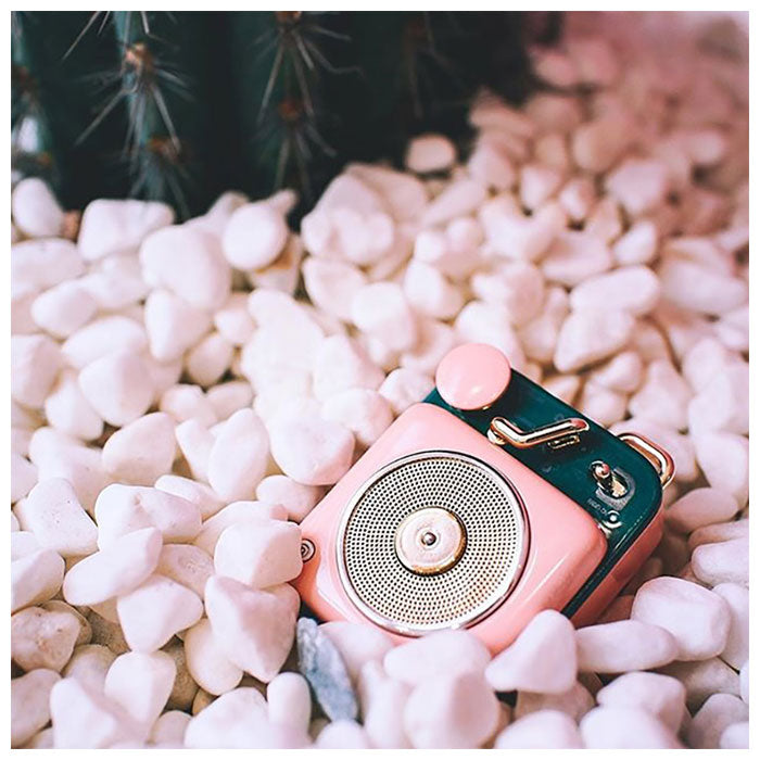 バックヤードファミリー BACKYARD FAMILY Button ボタン ブルートゥース スピーカー