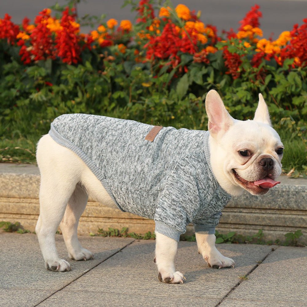 バックヤードファミリー BACKYARD FAMILY 犬服 ペット服 可愛い 秋冬 petweardm13【返品不可商品】