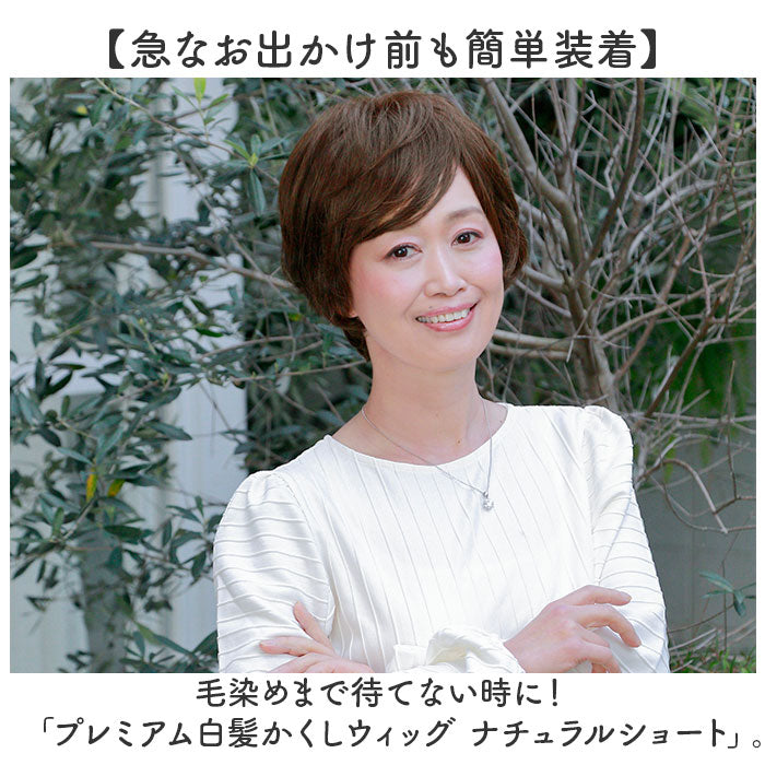 バックヤードファミリー BACKYARD FAMILY プレミアム白髪かくしウィッグ ナチュラルショートSTー009 (G4A/グラデーションブラウン) G4A/グラデーションブラウン