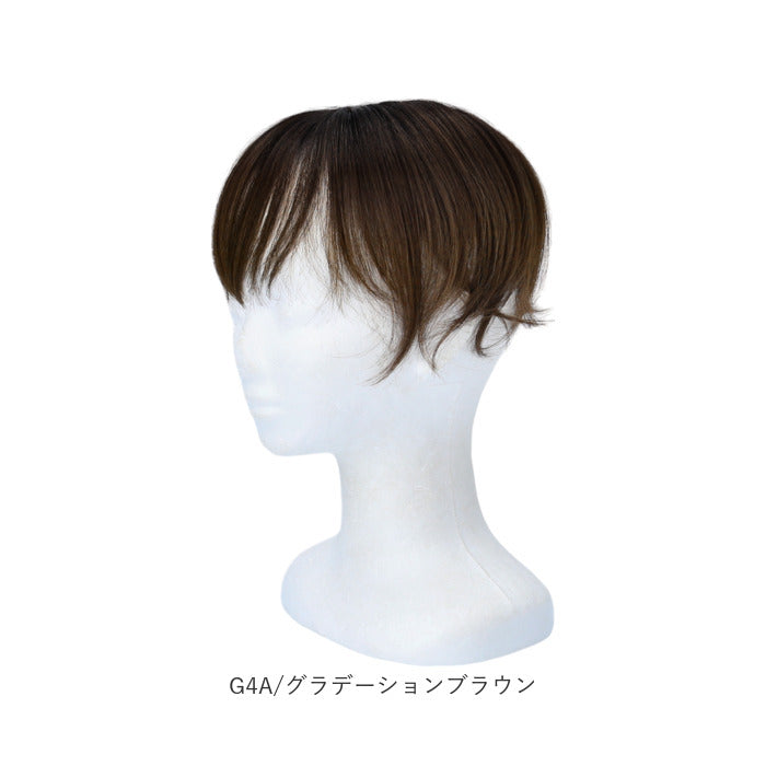 バックヤードファミリー BACKYARD FAMILY プレミアム白髪かくしウィッグ ナチュラルショートSTー009 (G4A/グラデーションブラウン) G4A/グラデーションブラウン