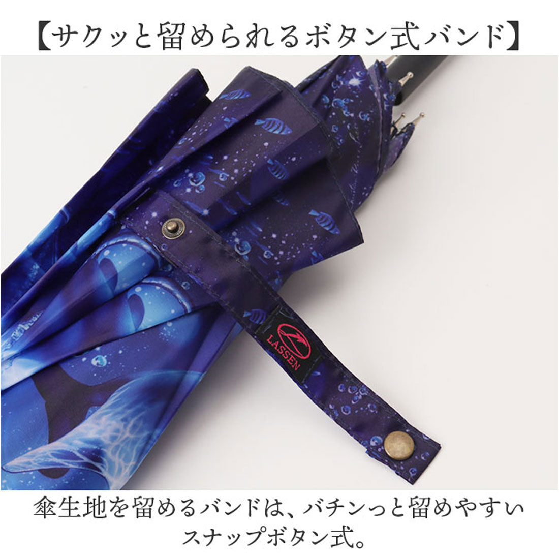 バックヤードファミリー BACKYARD FAMILY 名画 ジャンプ傘 (ホエルスター2) ホエルスター2