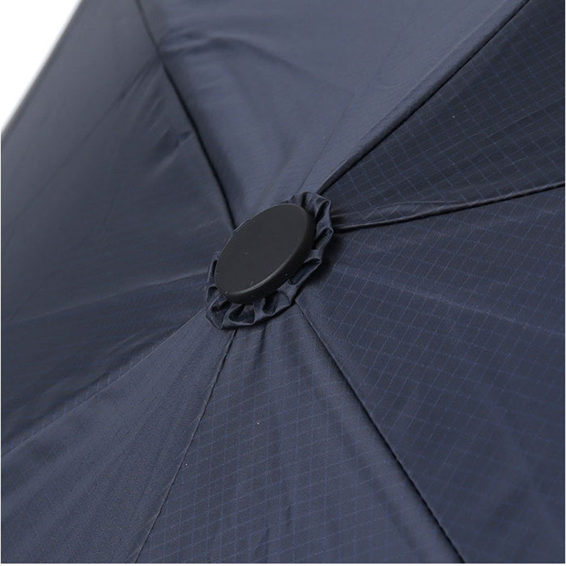 バックヤードファミリー BACKYARD FAMILY 晴雨兼用傘 自動開閉 折りたたみ傘 (サックス) サックス