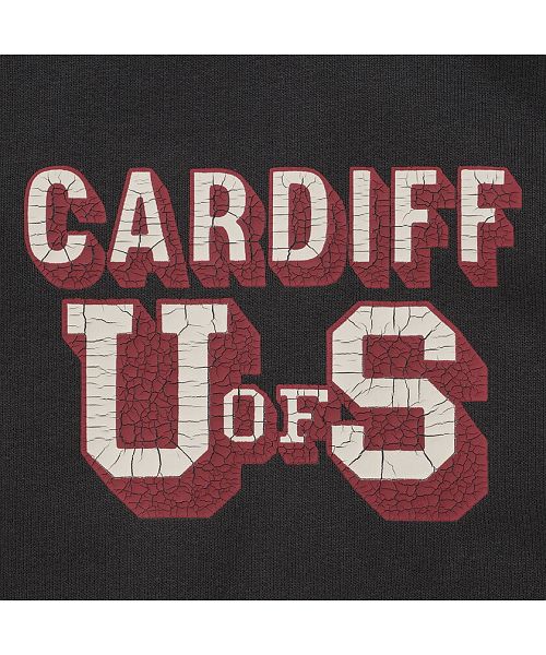 キャバリア CavariA CavariA USAコットン裏毛スウェットベスト×半袖Tシャツセット メンズ ベスト USAコットン 2枚セット ブランド おしゃれ 大人 カジュアル 重ね着