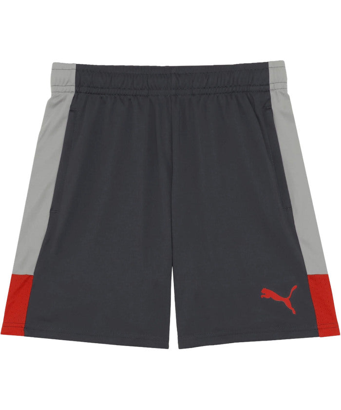 プーマ PUMA プーマ PUMA サッカー INDIVILIGA TR ショーツ 660976 (01 GRAYECHO-DUSKYGRAY-PUMAR) 01 GRAYECHO-DUSKYGRAY-PUMAR